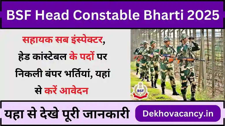 BSF Head Constable Bharti 2025: सहायक सब इंस्पेक्टर, हेड कांस्टेबल 252 के पदों पर निकली भर्तियां, यहां से करें आवेदन